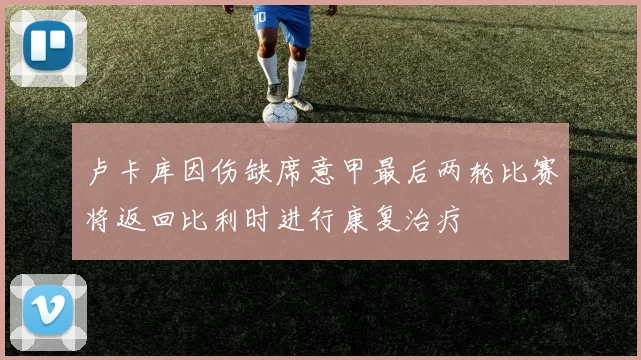 卢卡库因伤缺席意甲最后两轮比赛将返回比利时进行康复治疗