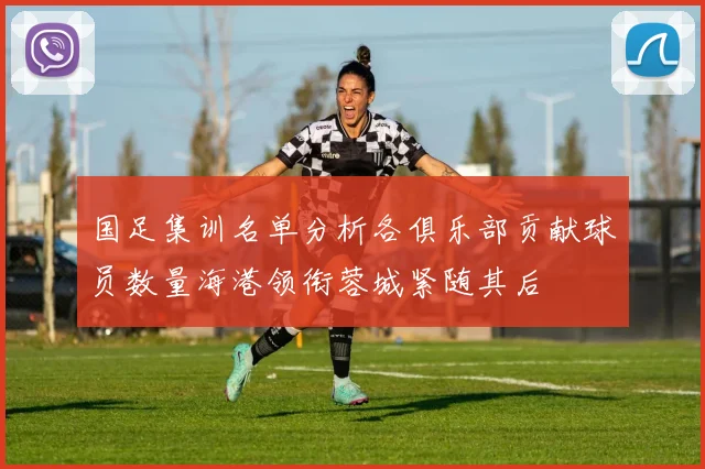 国足集训名单分析各俱乐部贡献球员数量海港领衔蓉城紧随其后